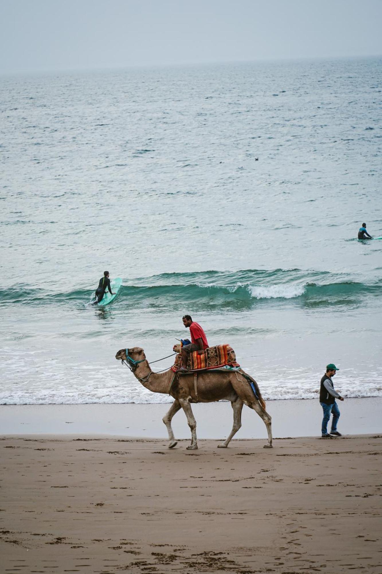Dar Sultana Guesthouse Surf Morocco Tamraght Exterior photo